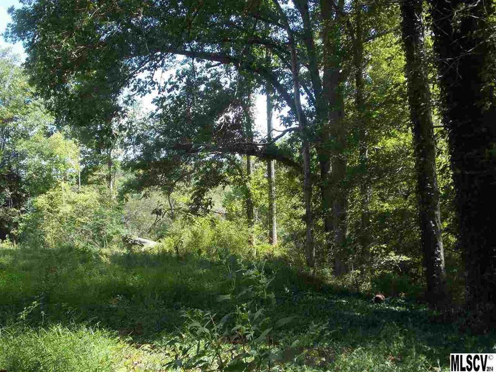 4365 Grace Church Road Newton, NC 28658 - Photo 15 of 22
