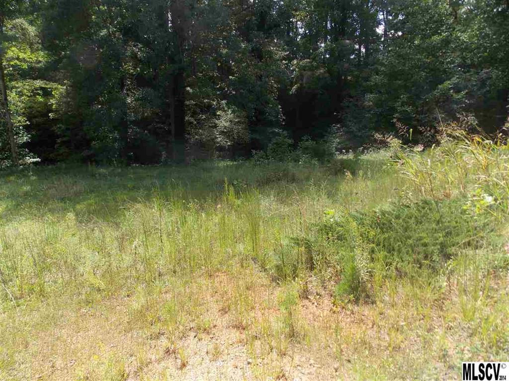 4365 Grace Church Road Newton, NC 28658 - Photo 5 of 22