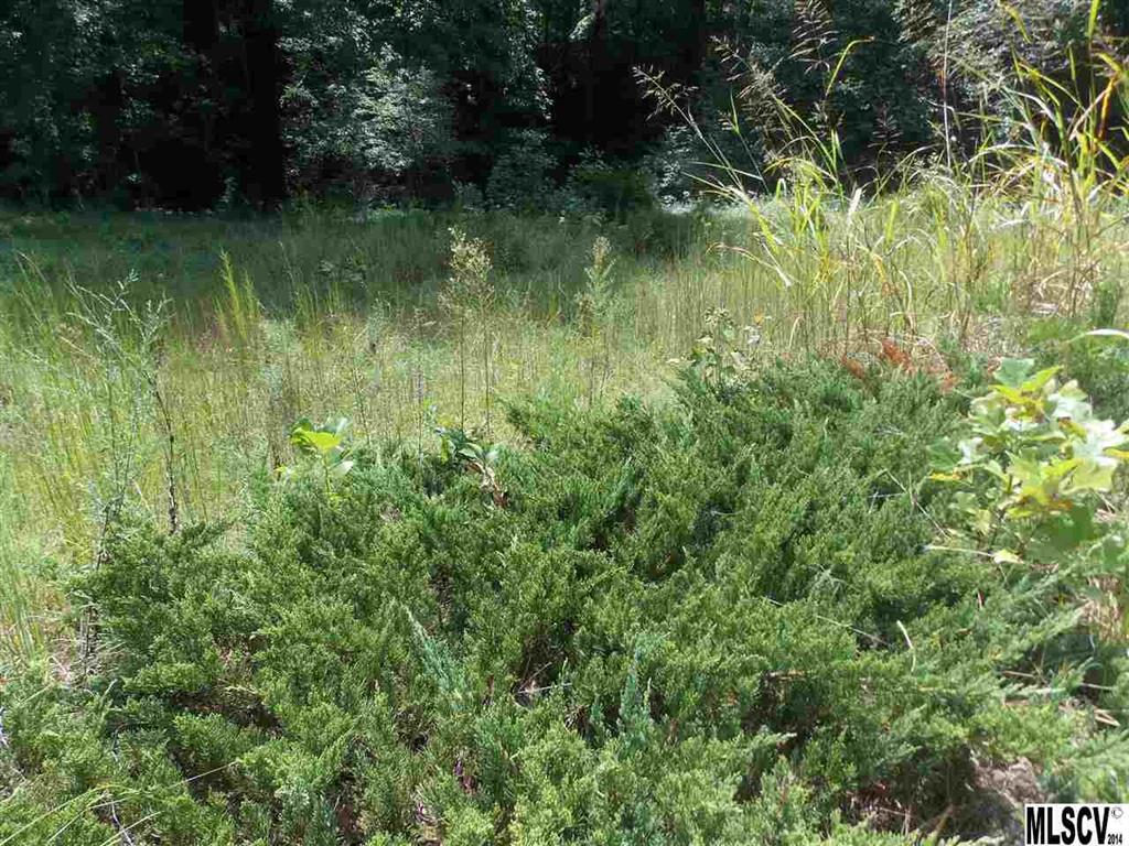 4365 Grace Church Road Newton, NC 28658 - Photo 7 of 22
