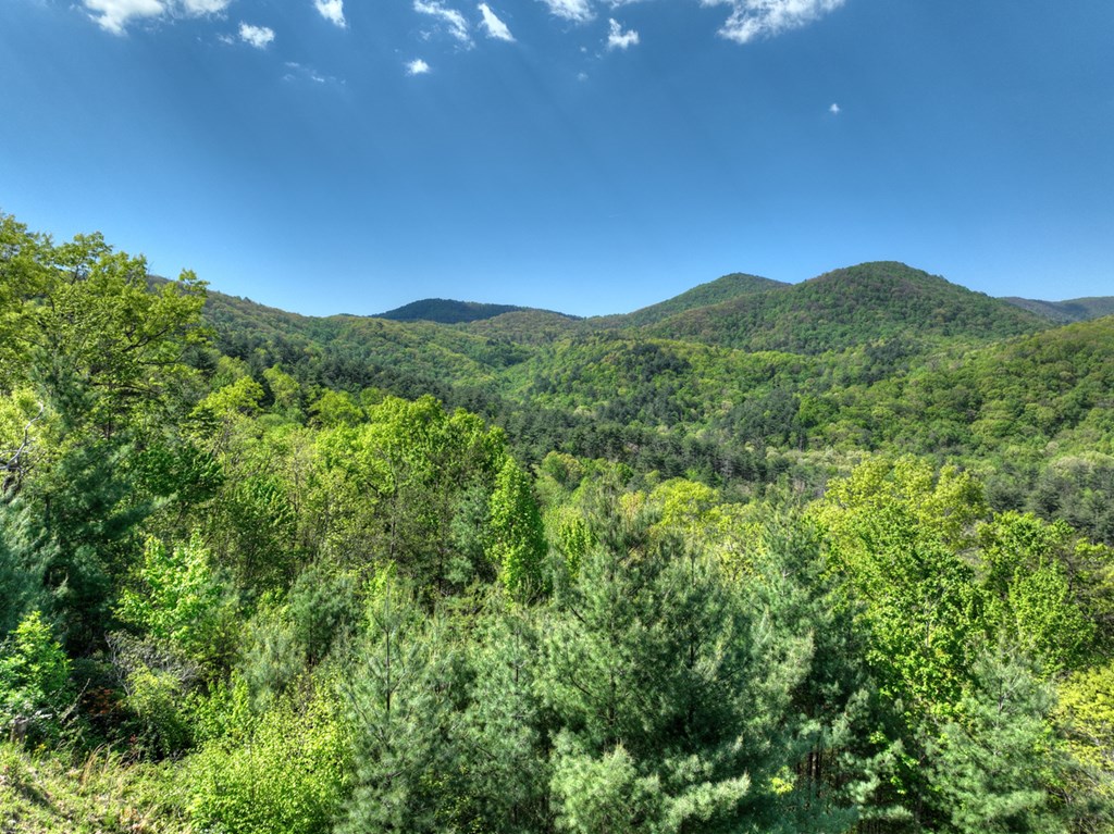 459 Quail Ridge Road Epworth, GA 30541 - Photo 55 of 73 a view of a mountain range with lush green forest