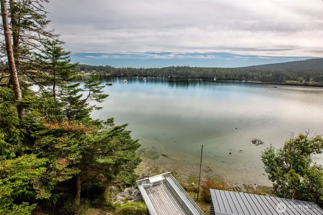 a view of a lake from a yard