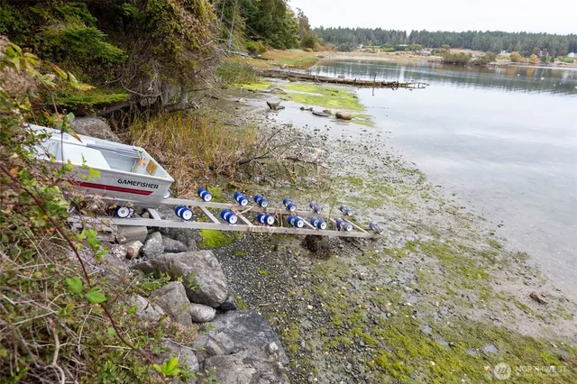 a view of a backyard with plants and a patio