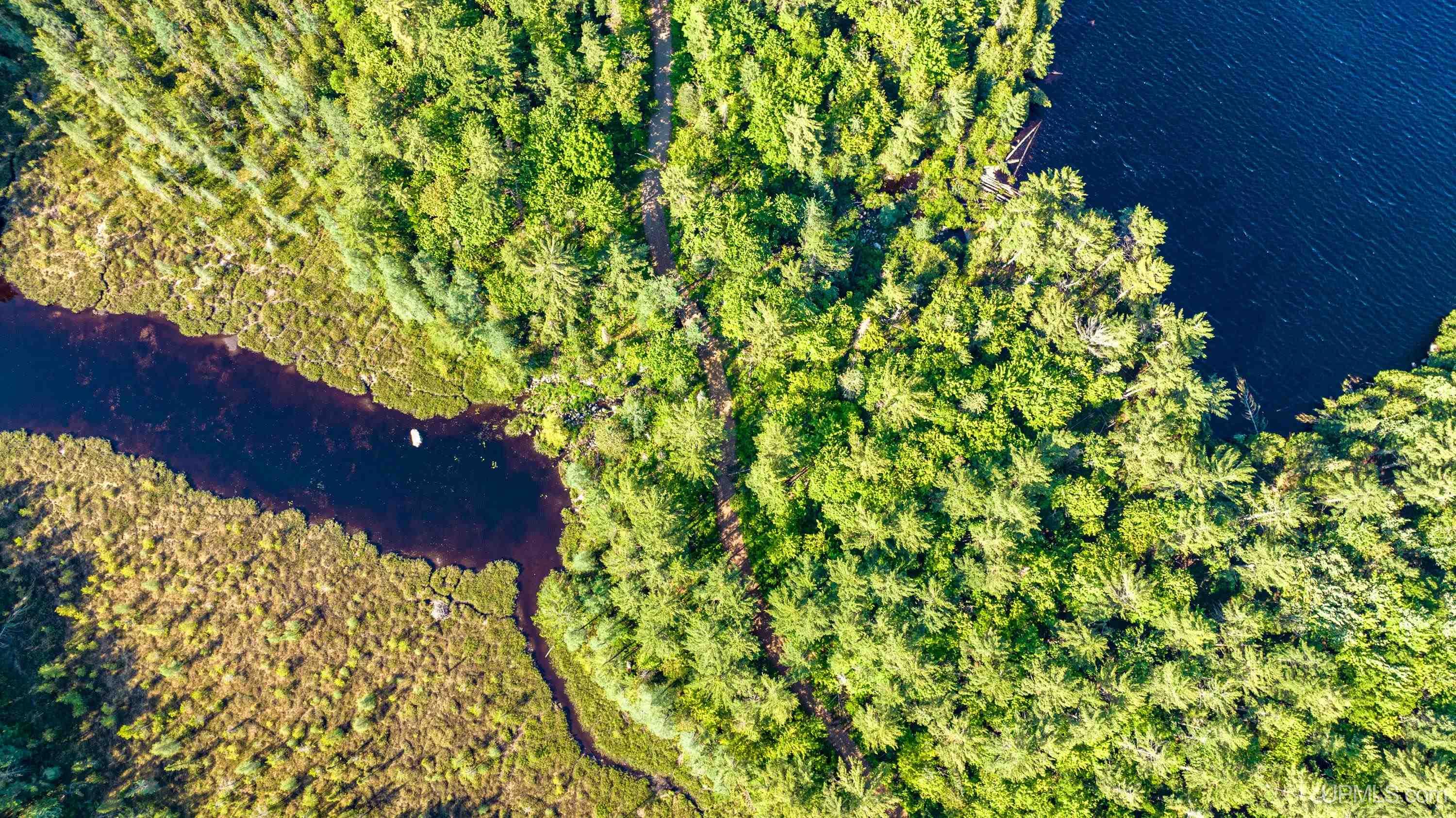Tbd Tbd Dommer Lake Road Michigamme, MI 49861 - Photo 23 of 25