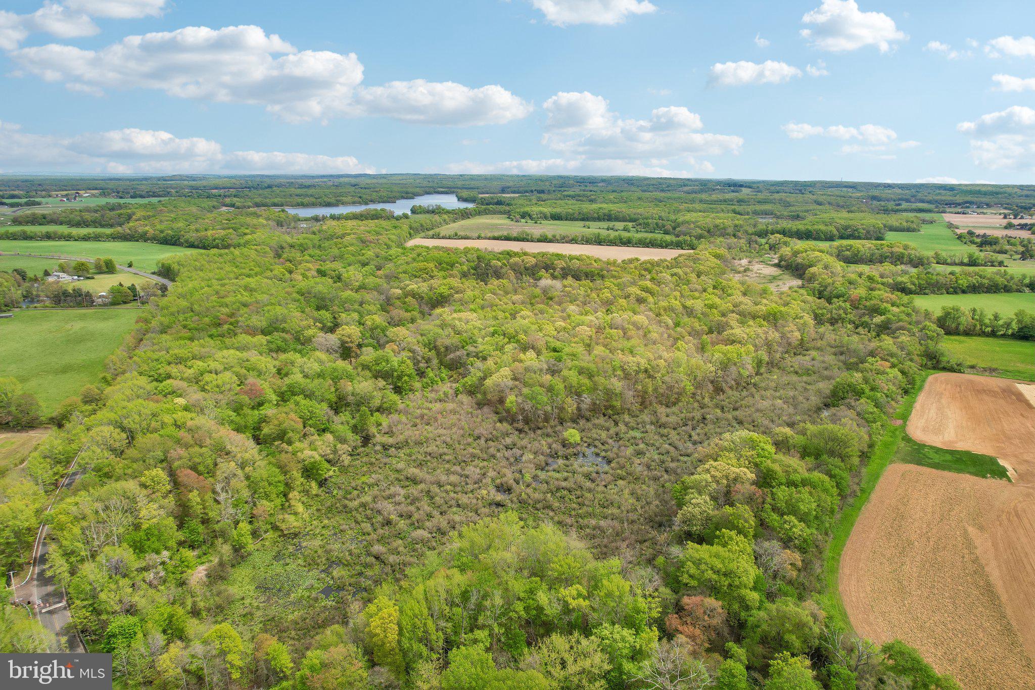 1272 Old York Road Hightstown, NJ 08520 - Photo 14 of 39 Lush green landscape under blue skies.