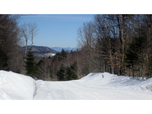 Lot 44.2 Coach Road Bristol, NH 03222 - Photo 3 of 6 Gallery Image 3