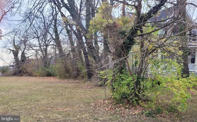 a view of a field with trees in the background