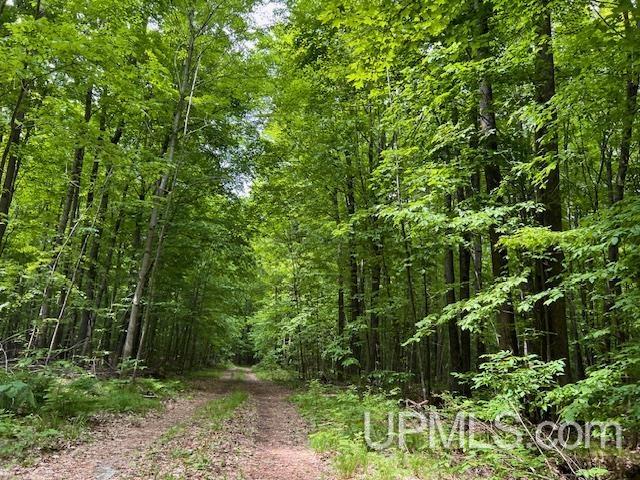 20.99-acres Old J Road Athelstane, WI 54104 - Photo 2 of 10