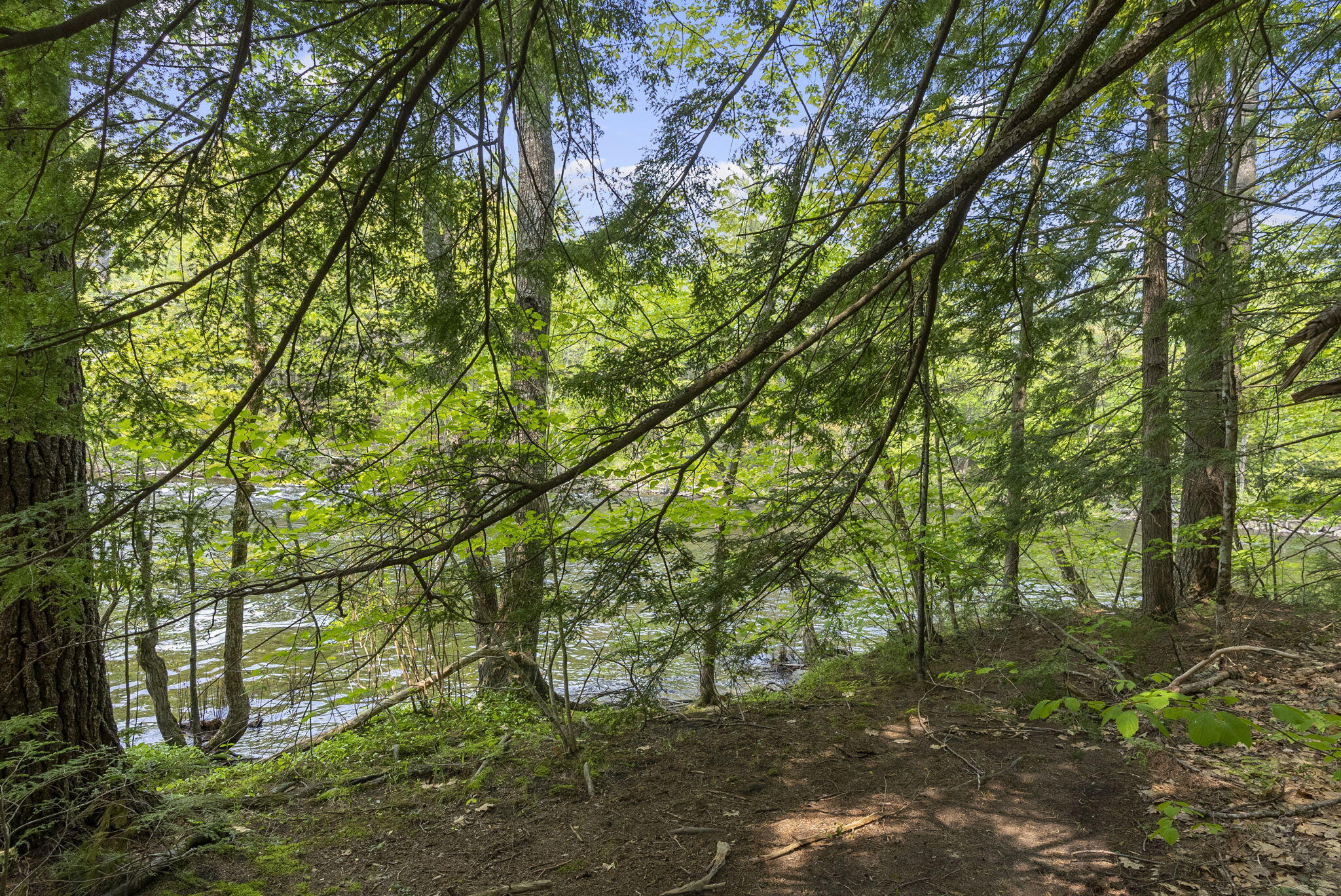 223 Sokokis Road Parsonsfield, ME 04047 - Photo 8 of 12 6-web-or-mls-DSC09040