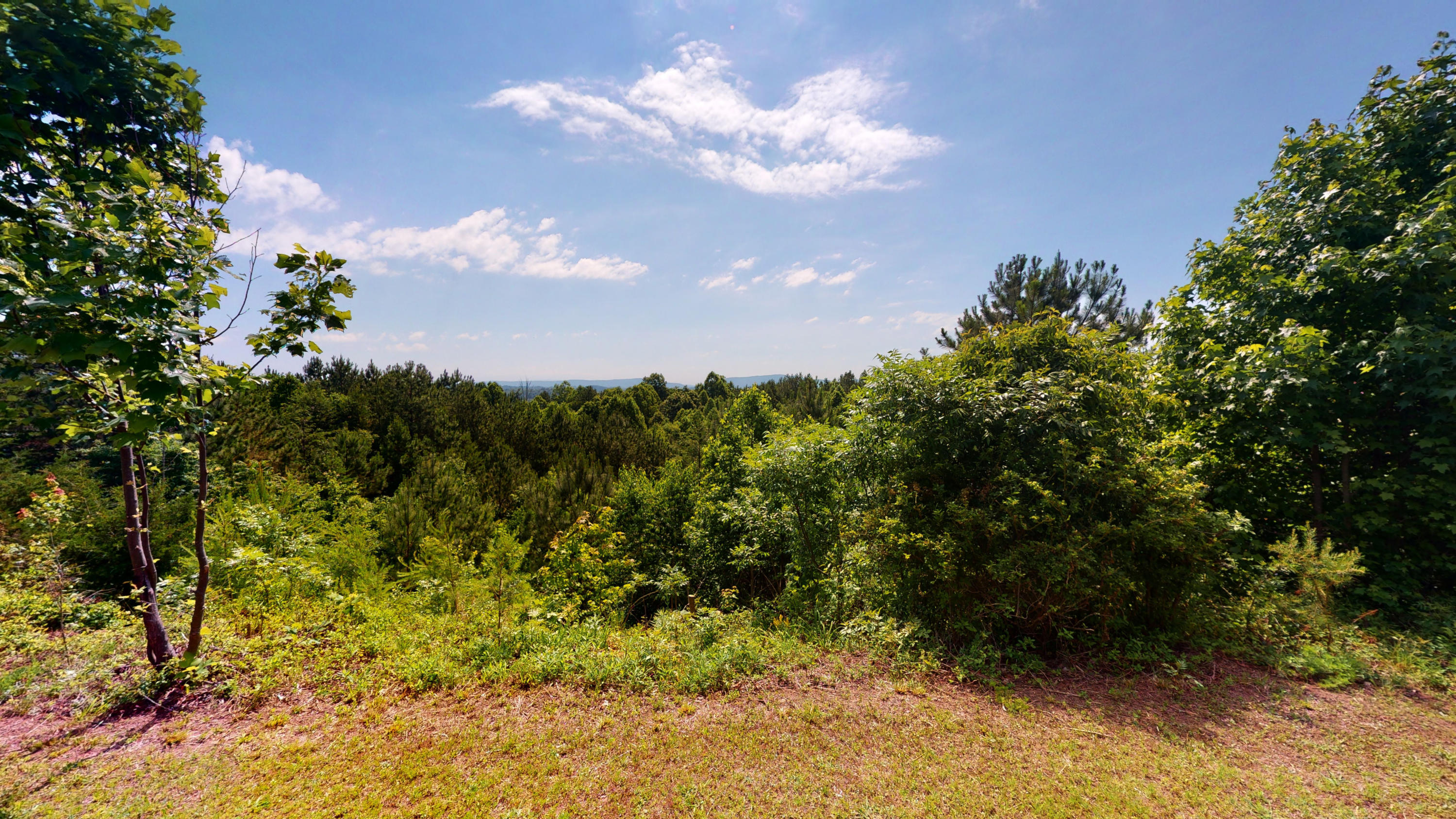 385 Walker Brow Ridge Road Northwest Cleveland, TN 37312 - Photo 54 of 67 385-Walker-Brow-Ridge-Rd-NW-06022020_140