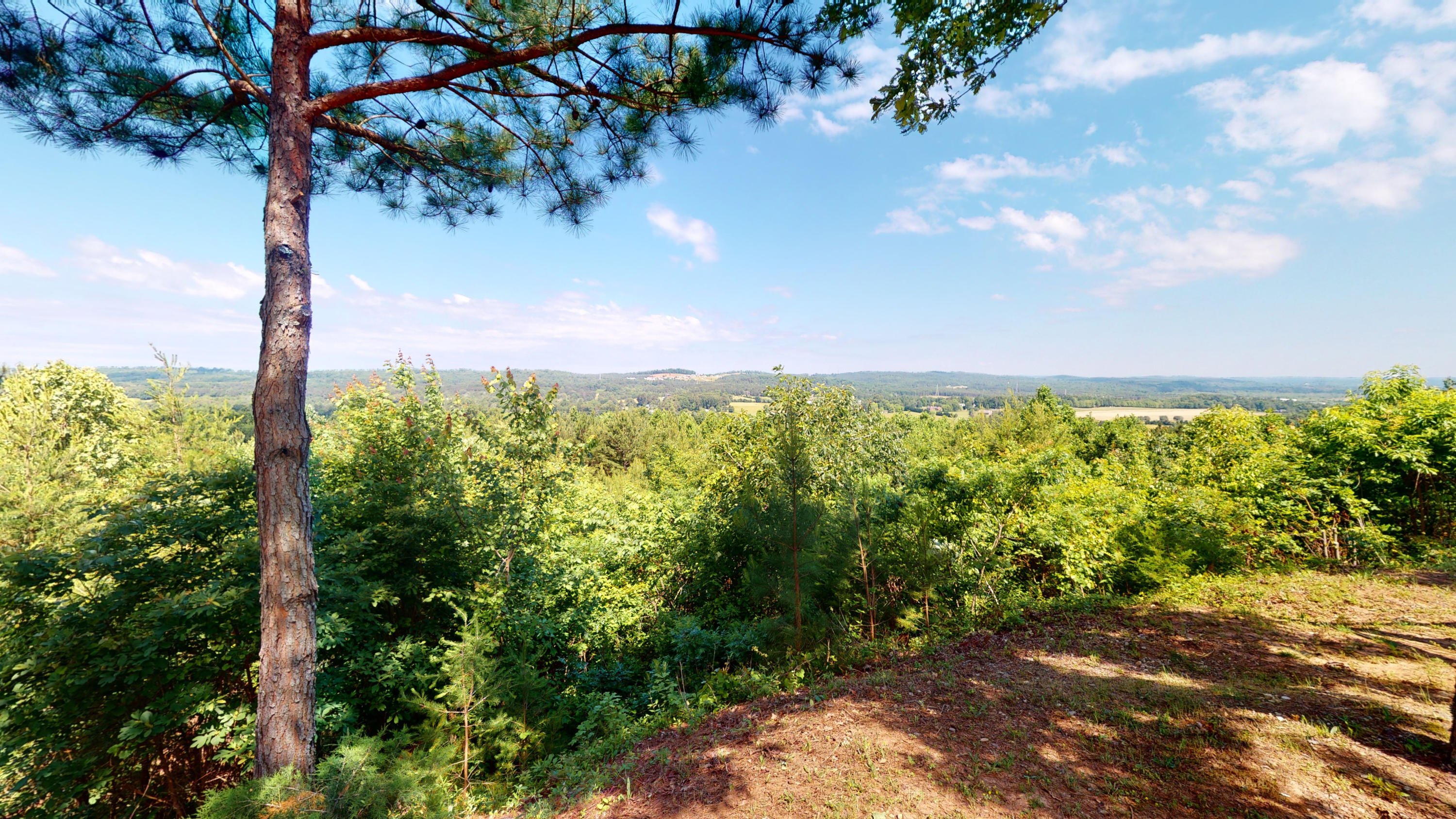 385 Walker Brow Ridge Road Northwest Cleveland, TN 37312 - Photo 59 of 67 385-Walker-Brow-Ridge-Rd-NW-06022020_140