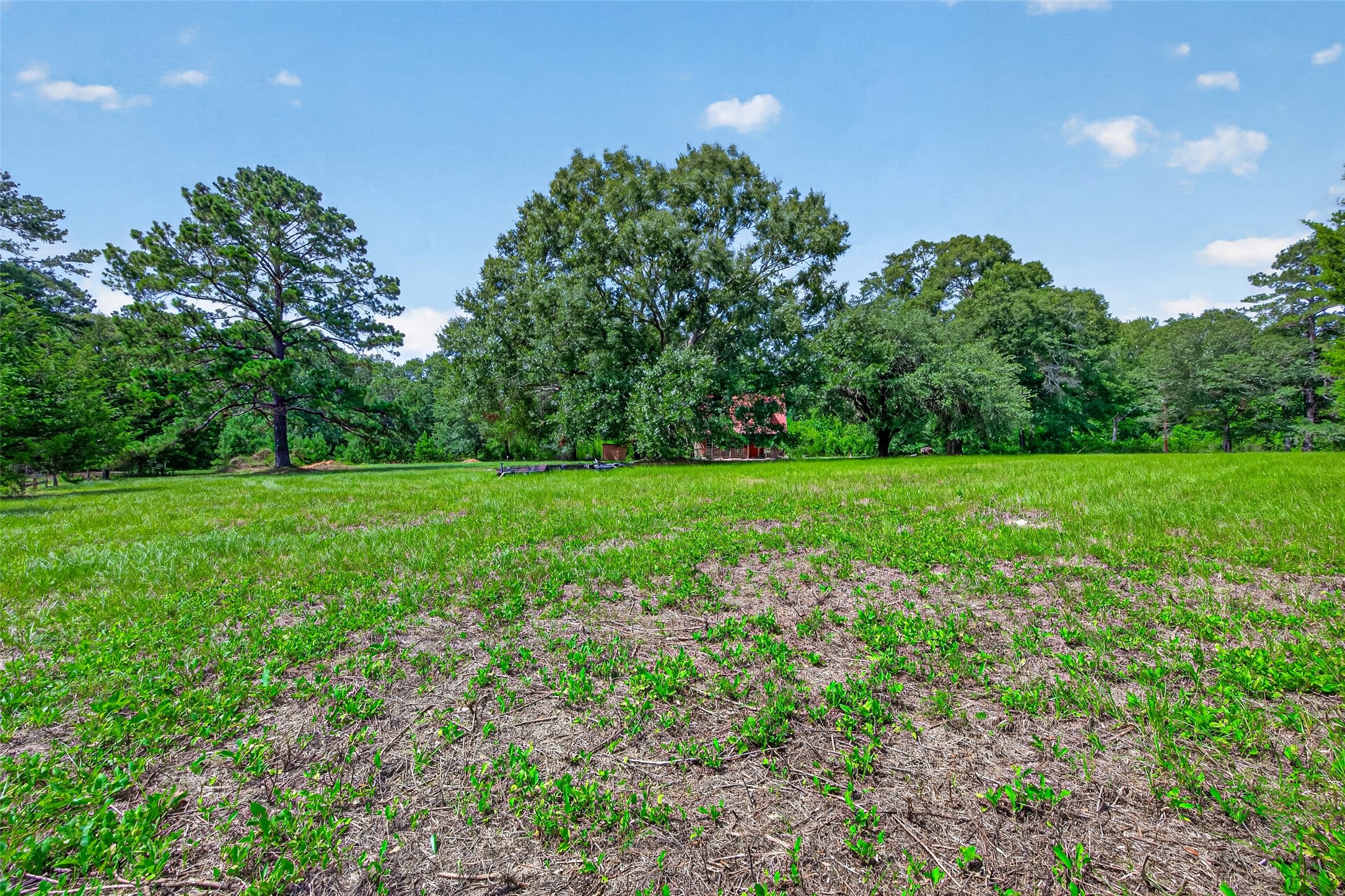 1241 Moody Road Cleveland, TX 77328 - Photo 39 of 47