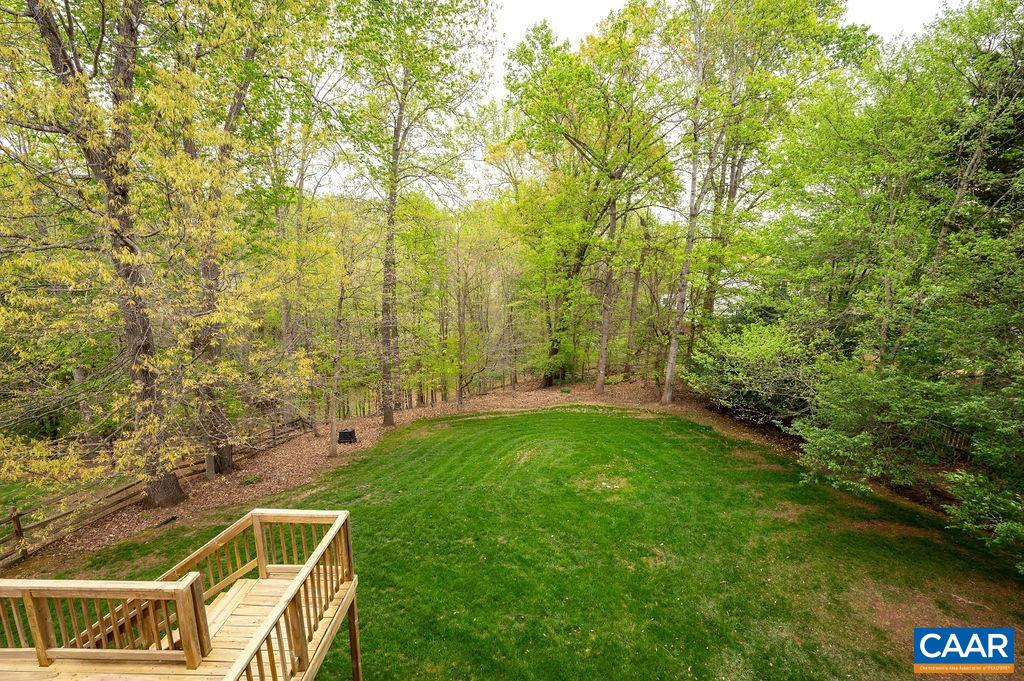 1254 Loring Run Charlottesville, VA 22901 - Photo 5 of 44 a view of a backyard with plants and large trees