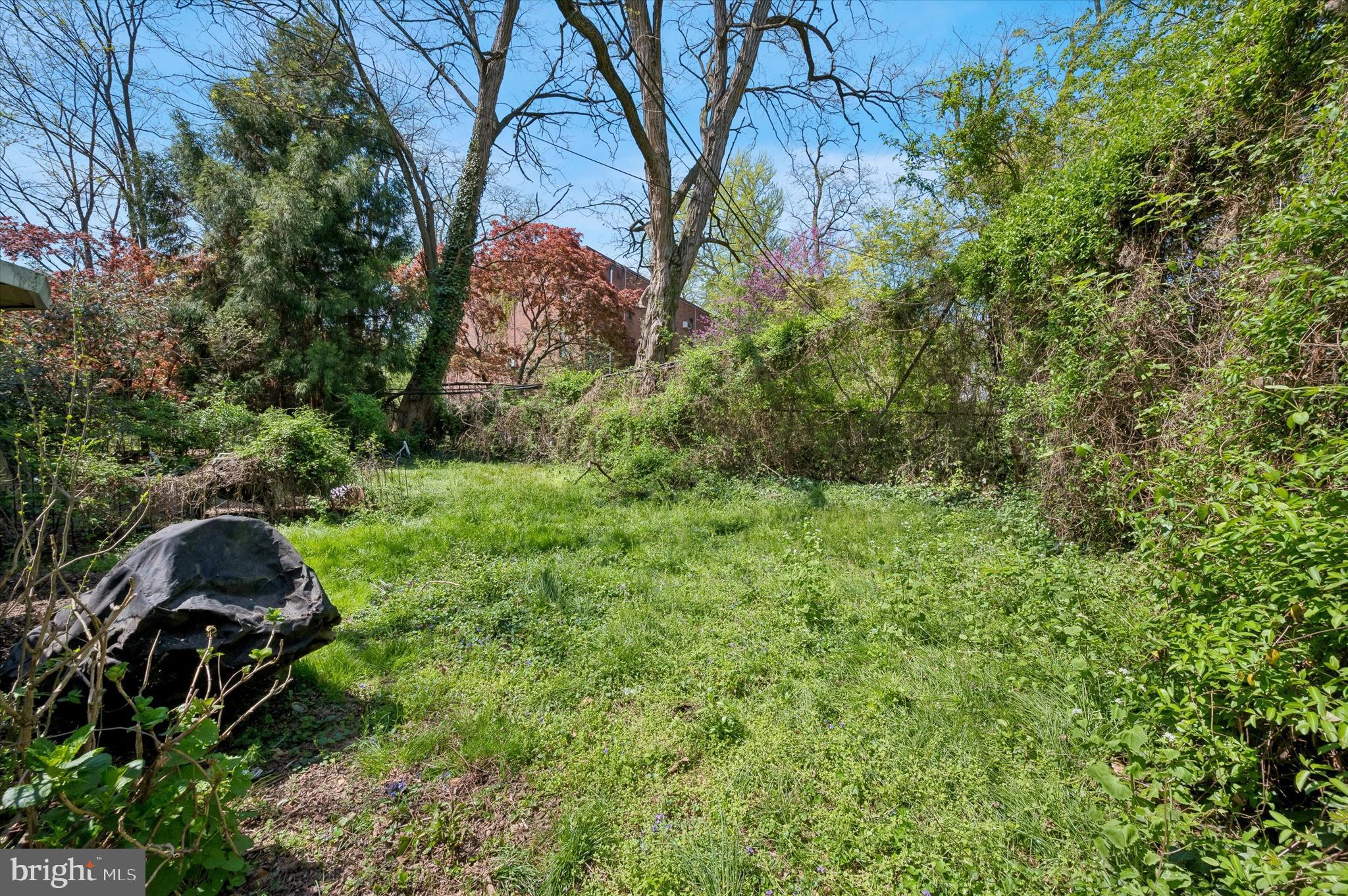 4511 Chester Avenue Philadelphia, PA 19143 - Photo 34 of 35 a backyard of a house with lots of green space