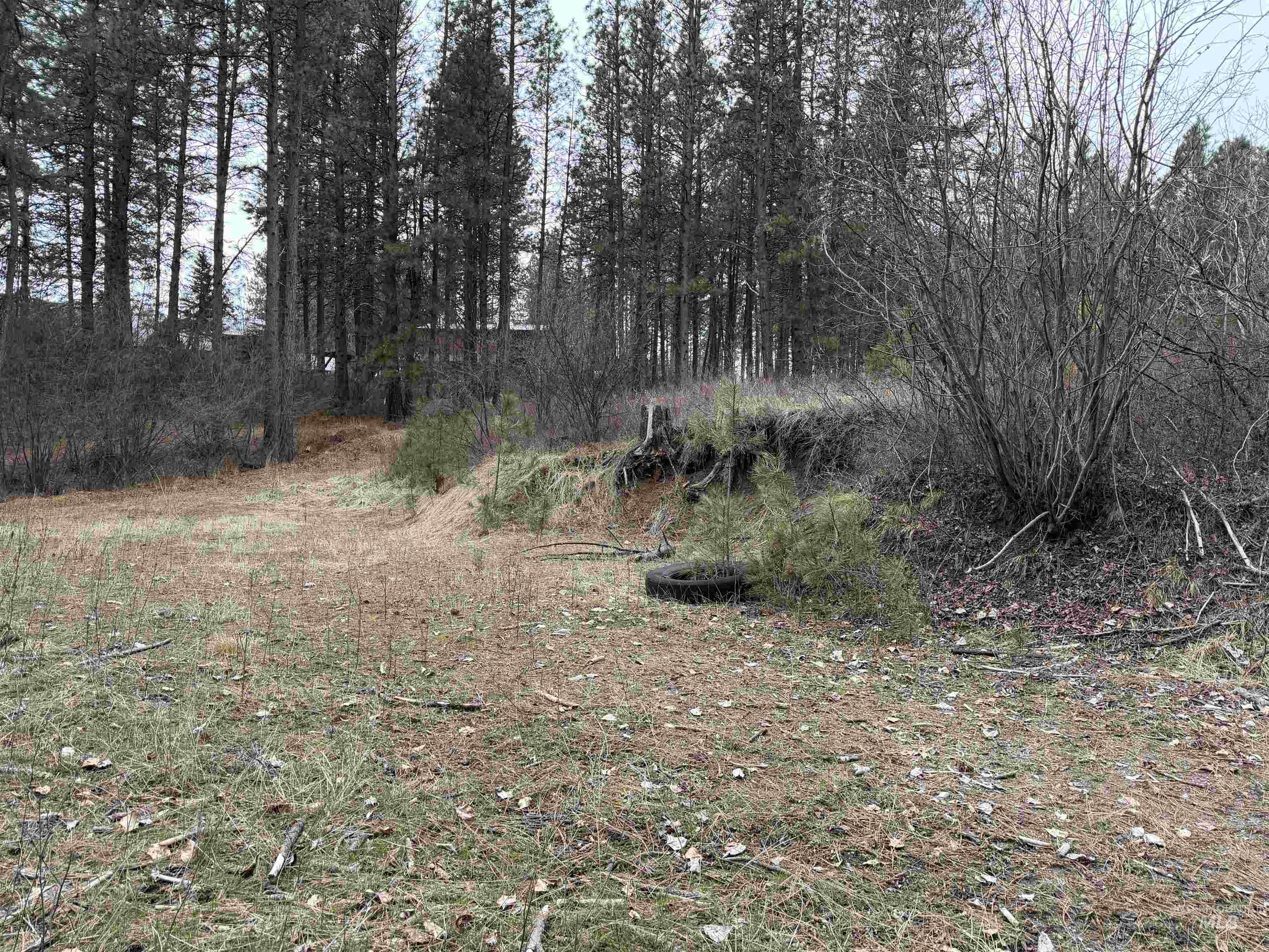 Parcel B South Middlefork Road Garden Valley, ID 83622 - Photo 2 of 12 View of nature
