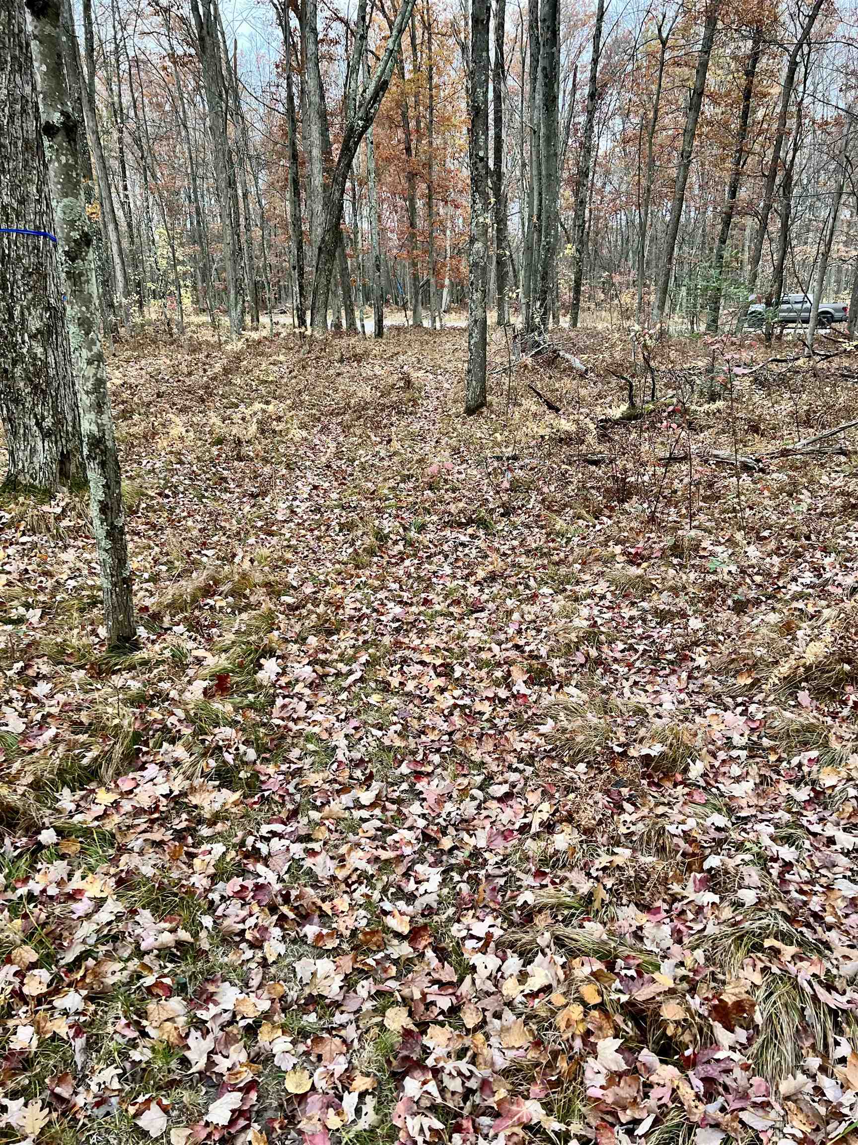 N7576 Hydro Court, Unit 7 Crivitz, WI 54114 - Photo 12 of 14