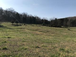 451 Piney Grove Road Somerset, KY 42501 - Photo 10 of 16 Piney Picture 5
