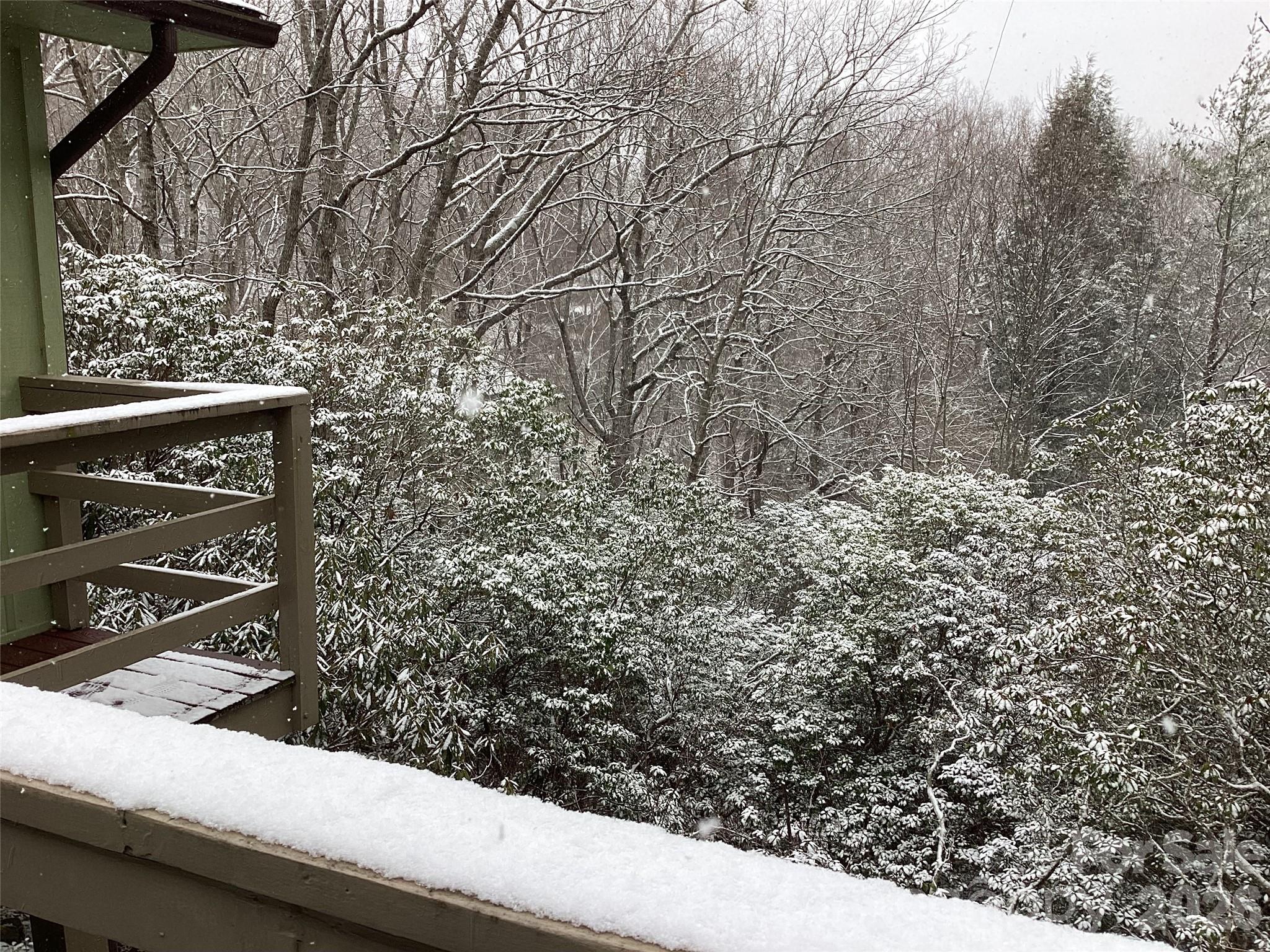 31 Rhododendron Road Black Mountain, NC 28711 - Photo 15 of 27 a view of a yard with wooden fence