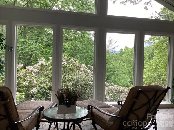 a view of a tree in a yard