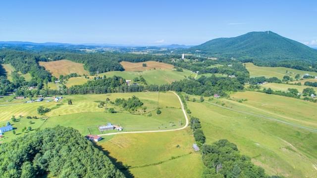 3060 Lowmans Ferry Road Pulaski, VA 24301 - Photo 1 of 1 Gallery Image 1