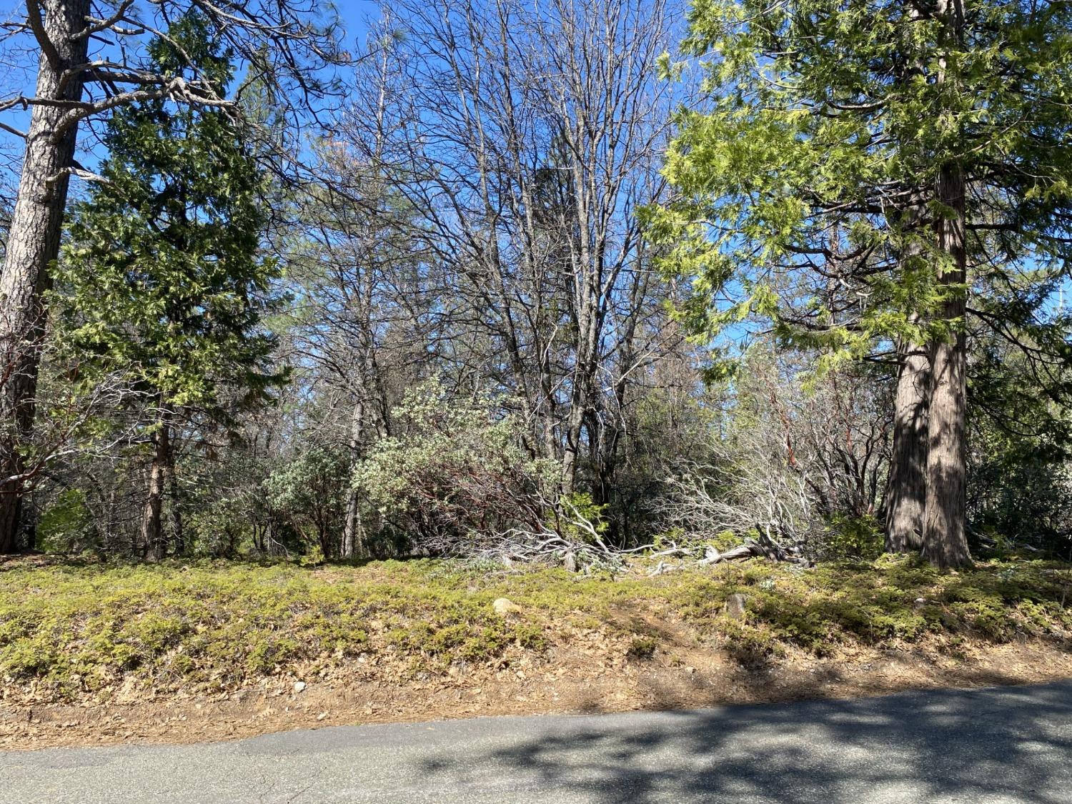 1919 Lily Gap Road West Point, CA 95255 - Photo 1 of 1 a view of a yard with trees