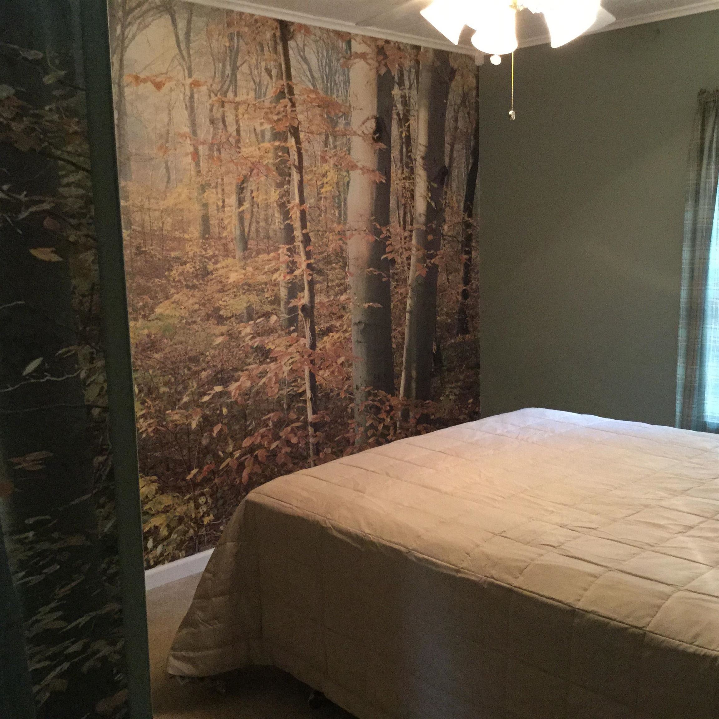 3335 West Lake Road Wells, VT 05774 - Photo 14 of 19