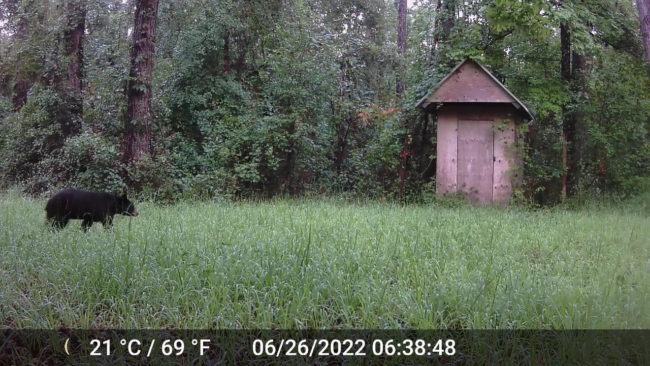 11274-11280 Old Federal Road Quincy, FL 32351 - Photo 15 of 60