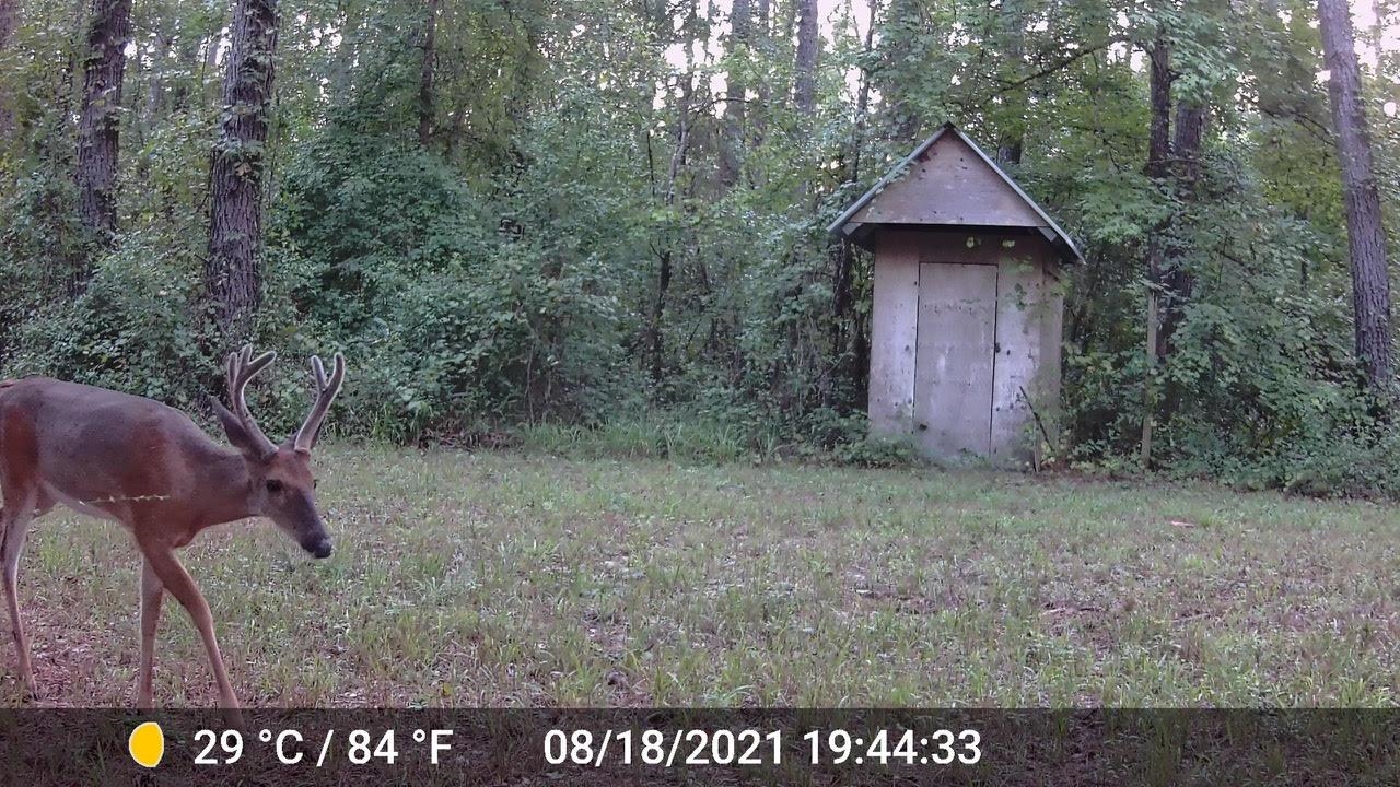 11274-11280 Old Federal Road Quincy, FL 32351 - Photo 18 of 60