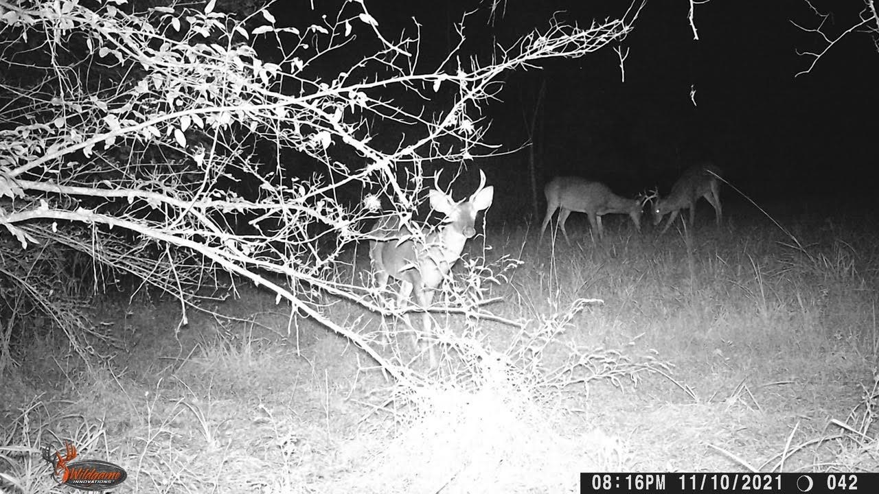 11274-11280 Old Federal Road Quincy, FL 32351 - Photo 19 of 60