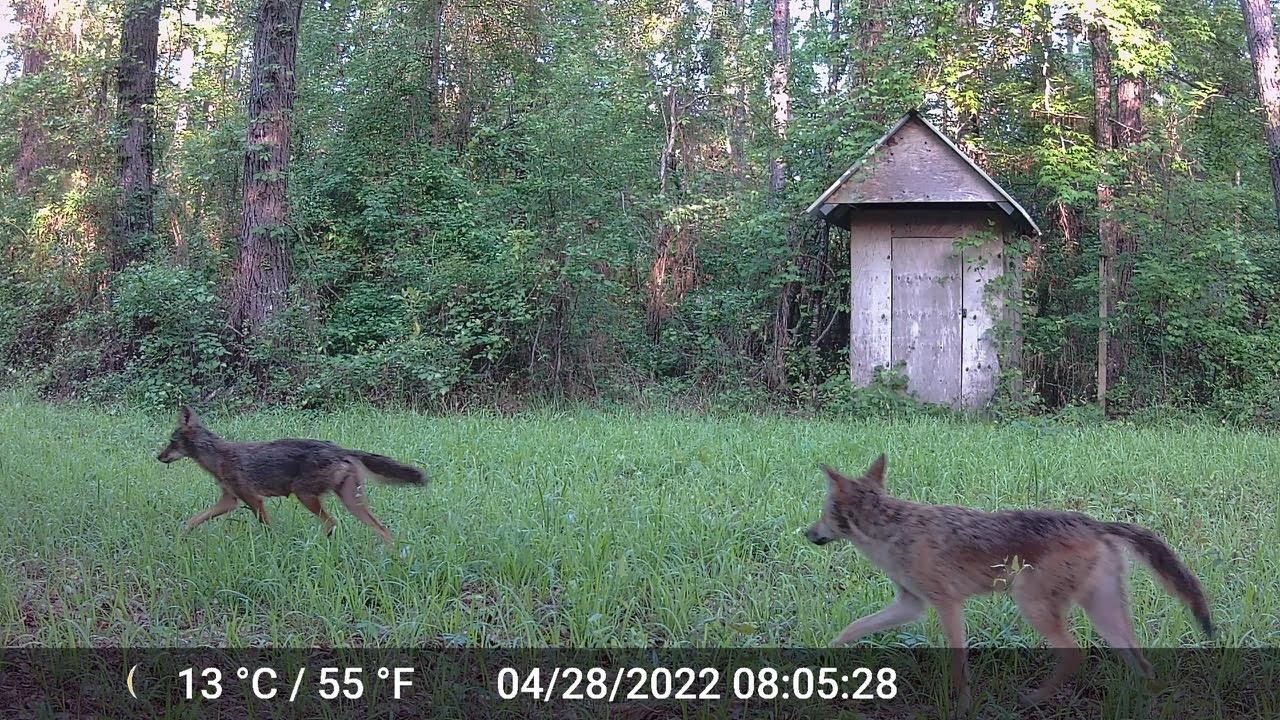 11274-11280 Old Federal Road Quincy, FL 32351 - Photo 3 of 60