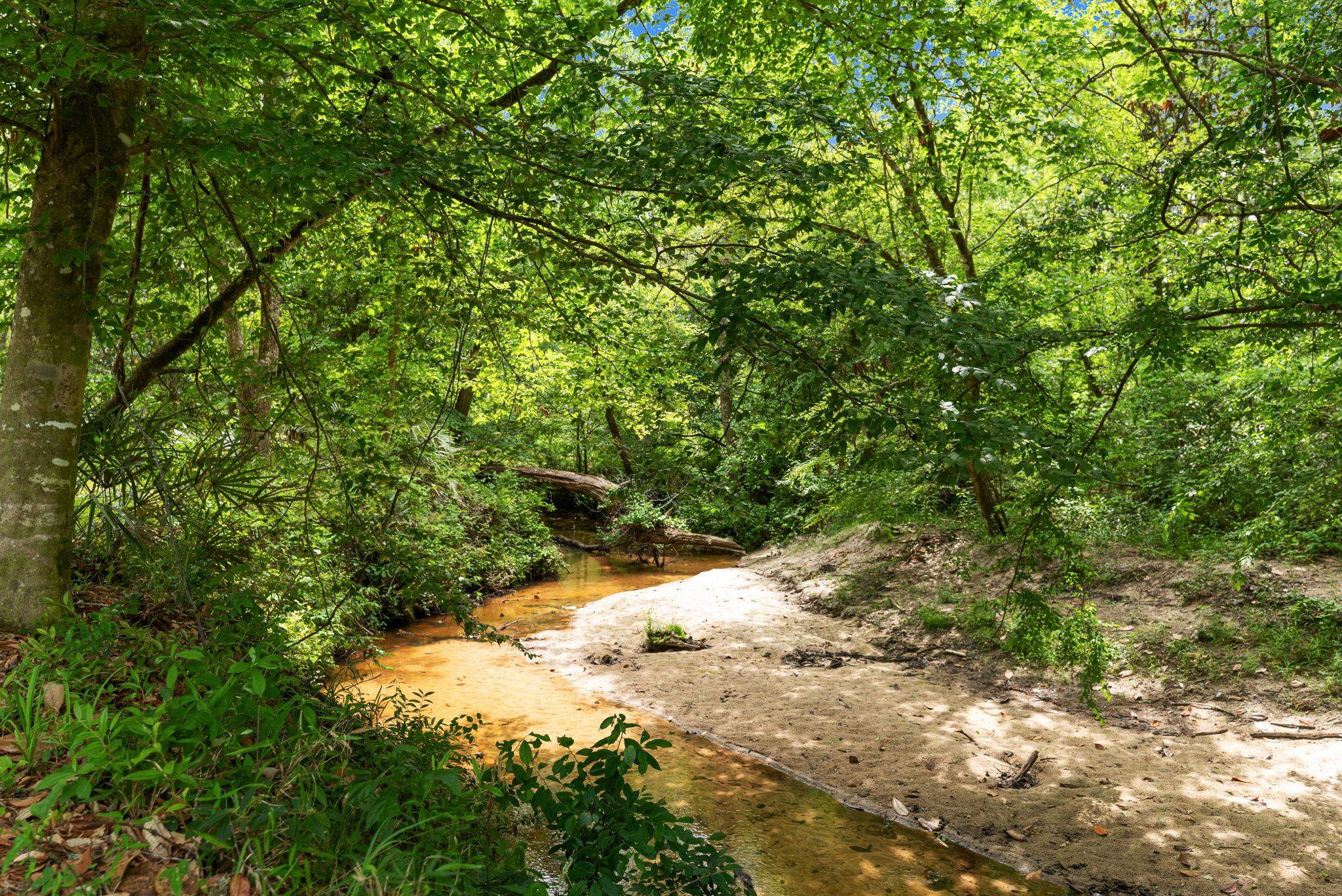 11274-11280 Old Federal Road Quincy, FL 32351 - Photo 35 of 60