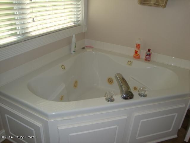 125 Buck Knobs Road Ekron, KY 40117 - Photo 10 of 45 whirlpool tub