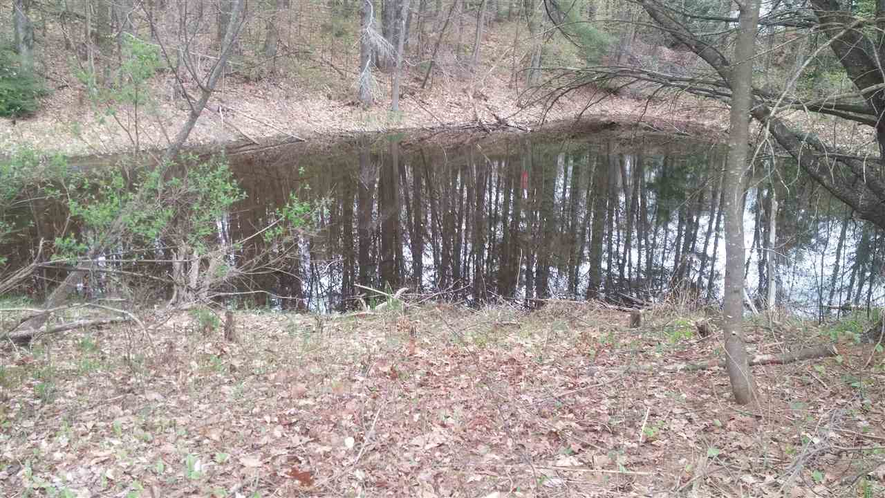 255 Rhododendron Road Fitzwilliam, NH 03447 - Photo 39 of 39