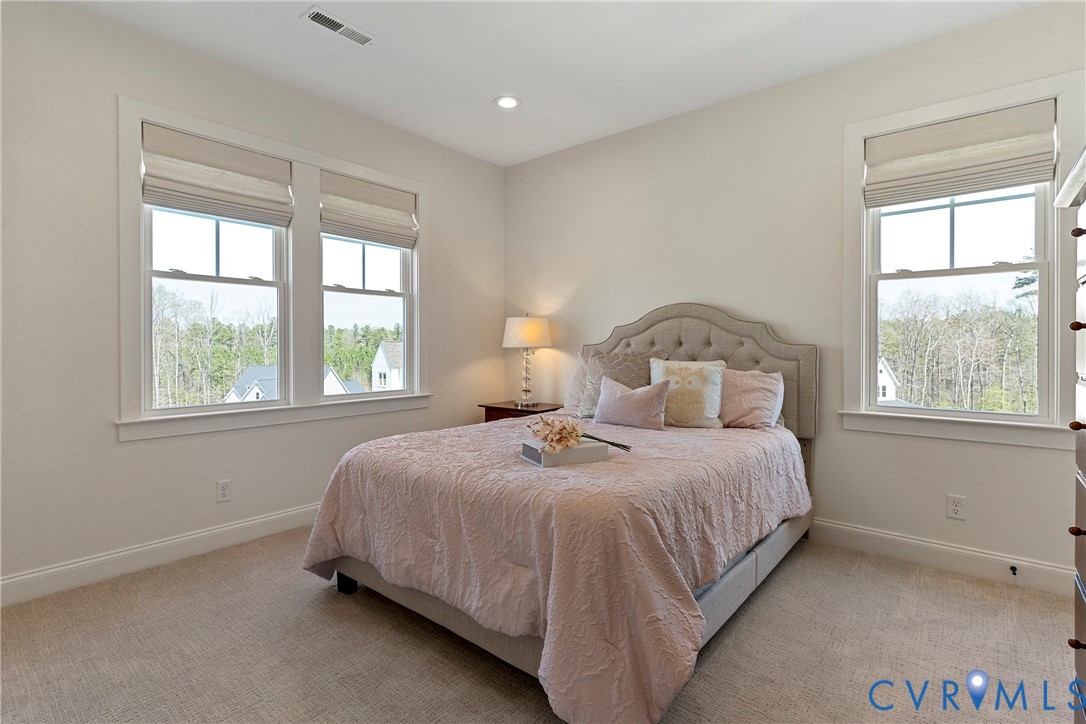 5012 Lake Summer Loop Moseley, VA 23120 - Photo 53 of 67