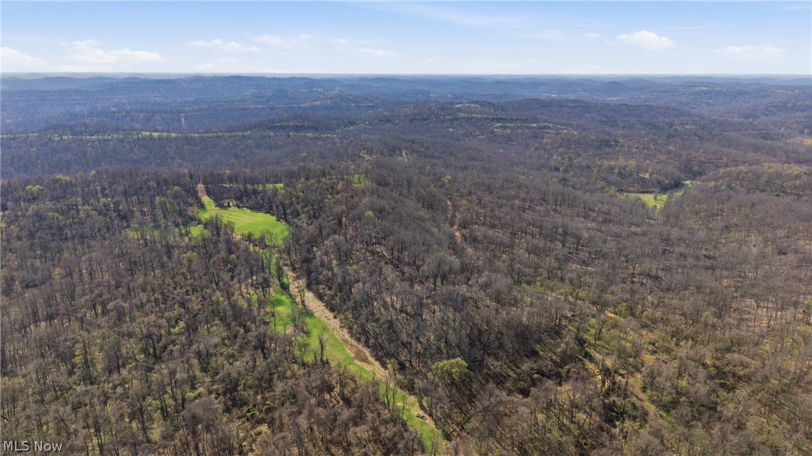 Logston Run Road Ravenswood, WV 26164 - Photo 2 of 10