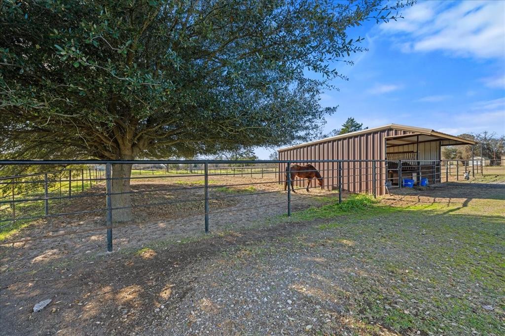 550 Fm 1389 Street South Combine, TX 75159 - Photo 32 of 36 a view of a backyard with large trees