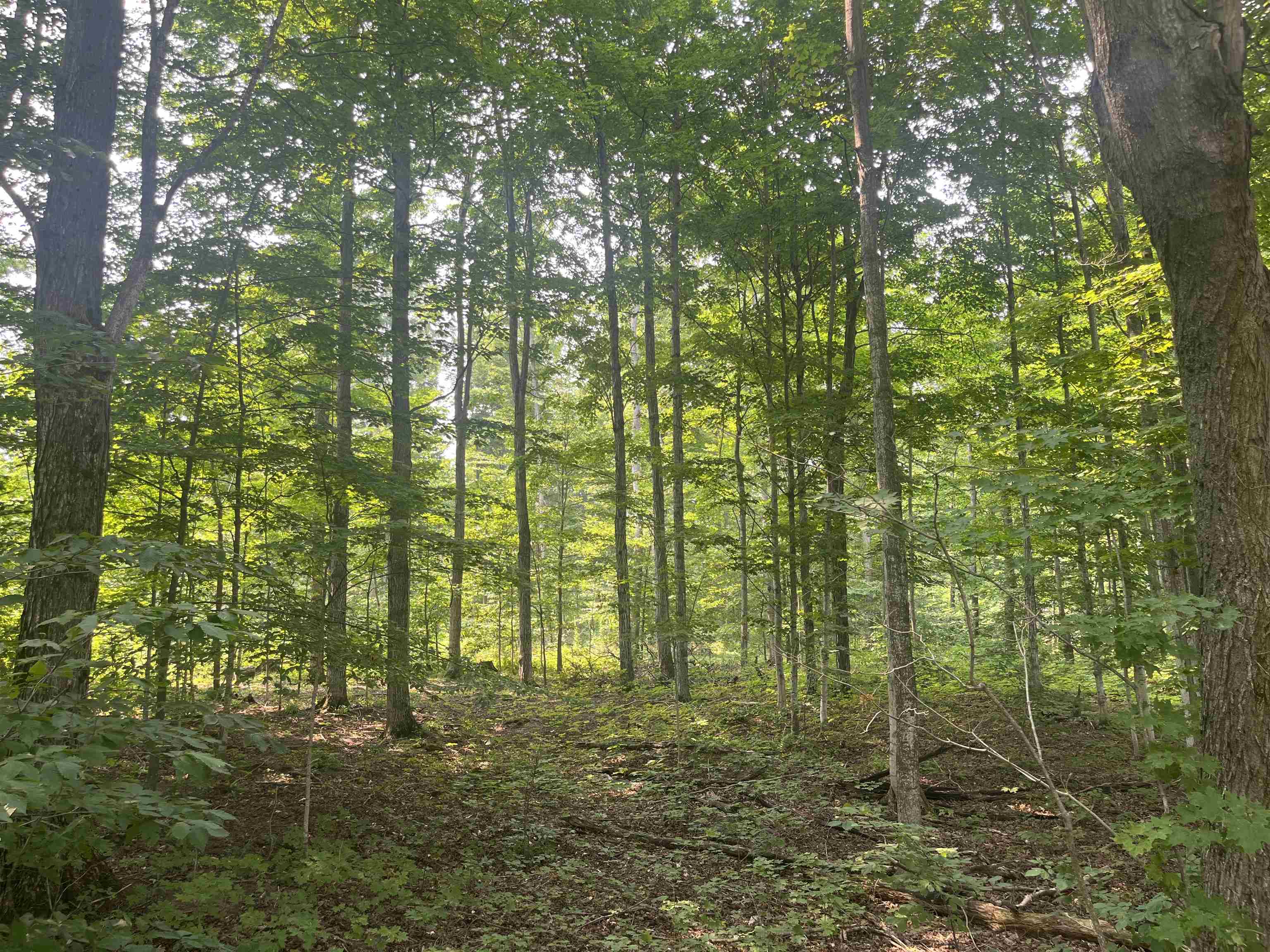 Ramsay Road Thompsonville, MI 49683 - Photo 11 of 17 Gallery Image 11