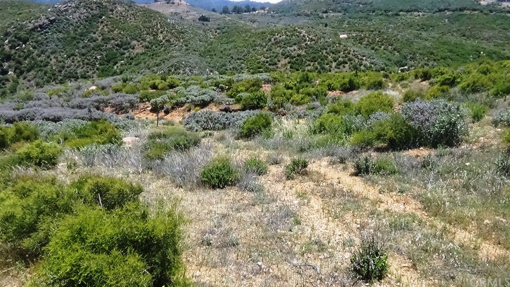 43 Gorgonio View Road Banning, CA 92220 - Photo 14 of 19 Gallery Image 14