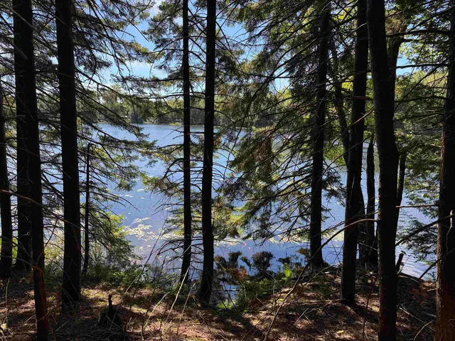 $199,000 | 0 Lake Hill Road, Unit SPRING LOT, Jacksonville, VT 05342