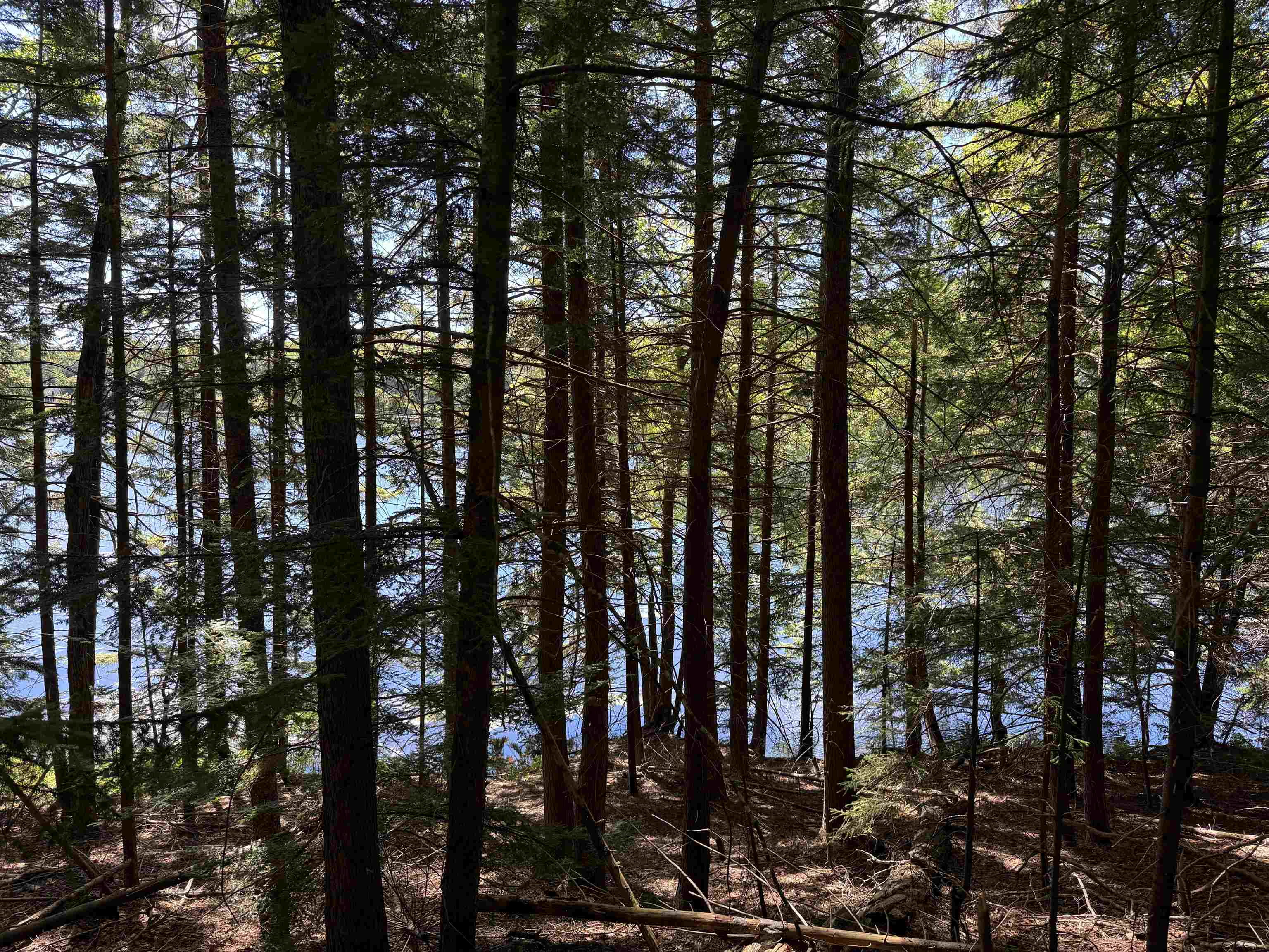 0 Lake Hill Road, Unit SPRING LOT Jacksonville, VT 05342 - Photo 12 of 22