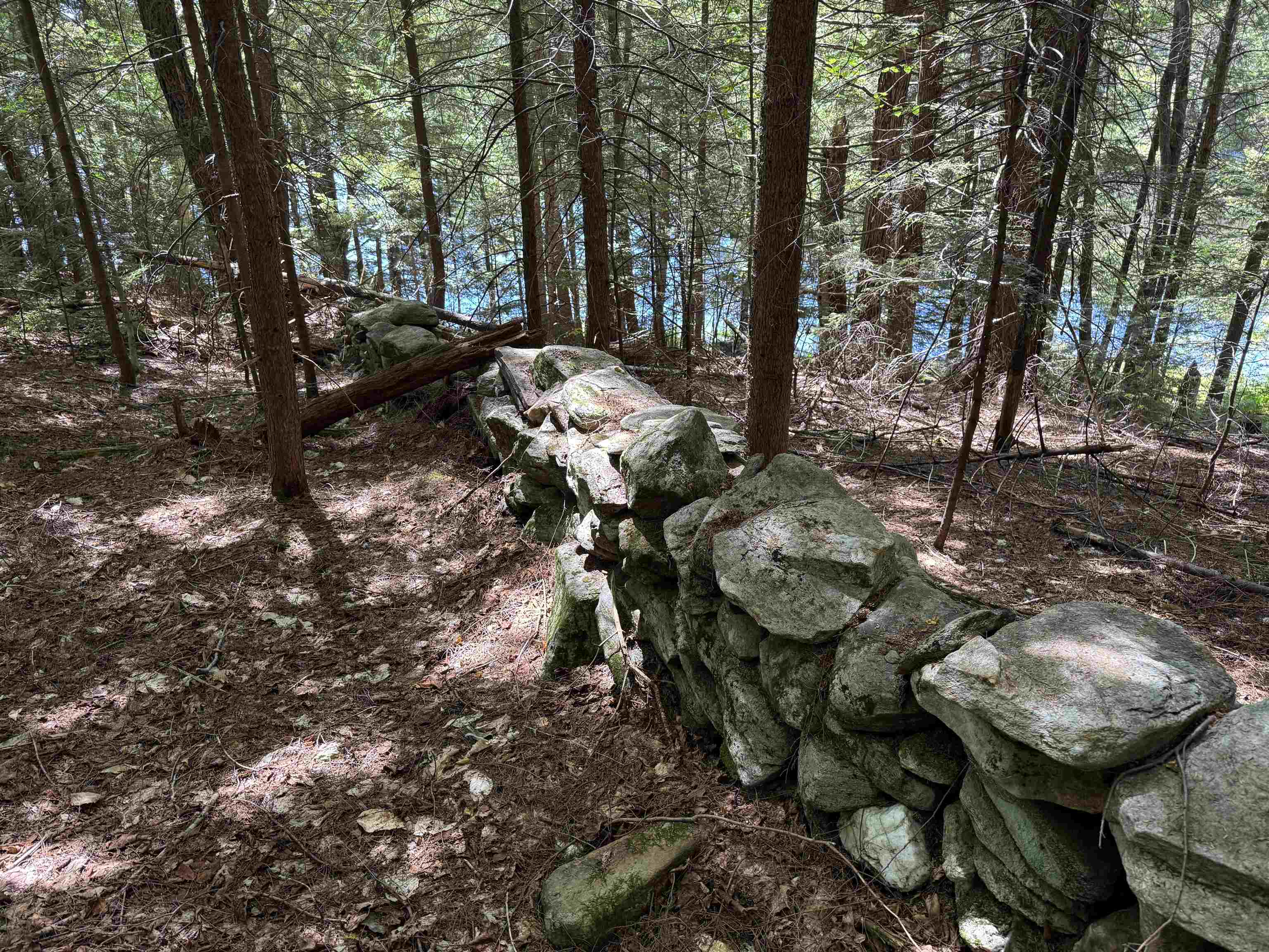 0 Lake Hill Road, Unit SPRING LOT Jacksonville, VT 05342 - Photo 13 of 22