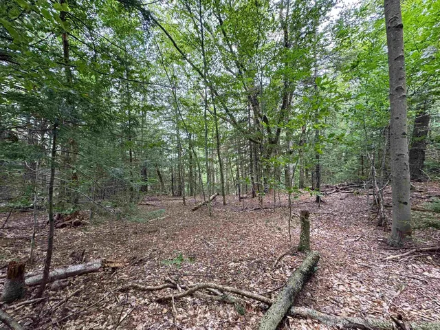 $199,000 | 0 Lake Hill Road, Unit SPRING LOT, Jacksonville, VT 05342