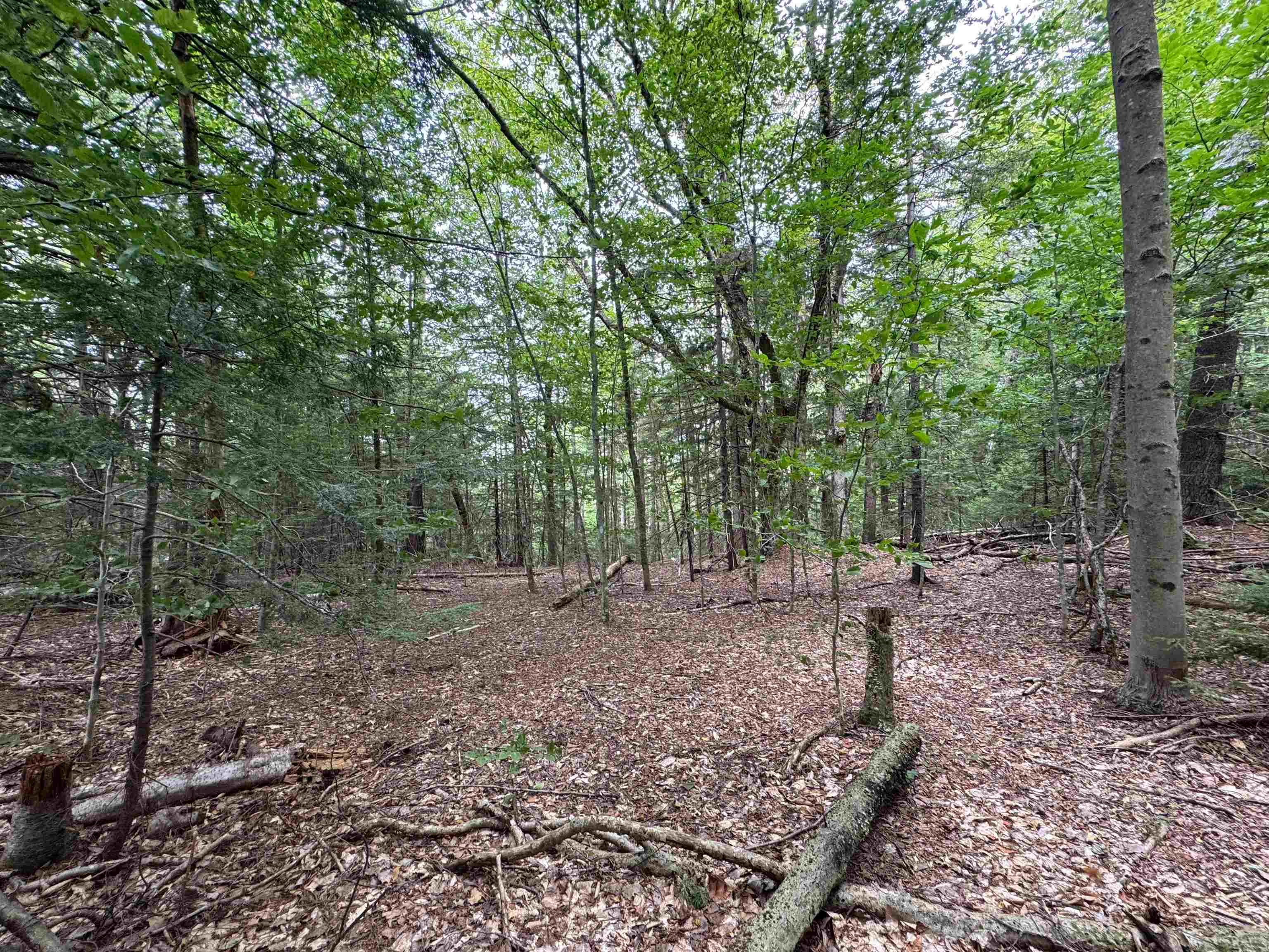 0 Lake Hill Road, Unit SPRING LOT Jacksonville, VT 05342 - Photo 14 of 22