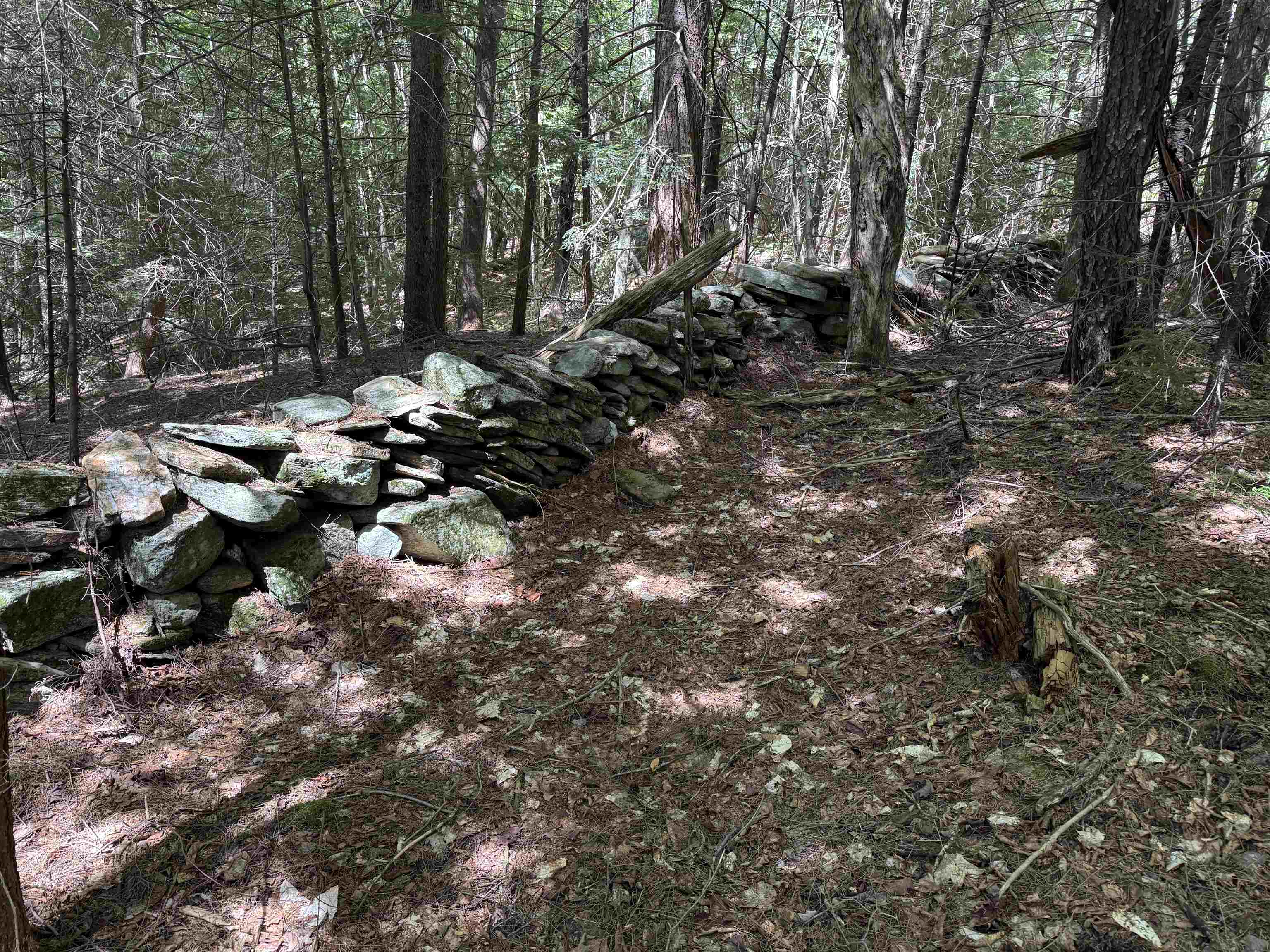 0 Lake Hill Road, Unit SPRING LOT Jacksonville, VT 05342 - Photo 15 of 22