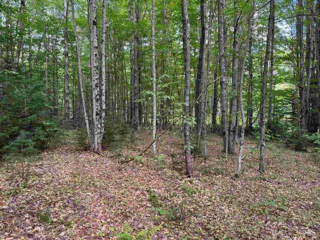 $199,000 | 0 Lake Hill Road, Unit SPRING LOT, Jacksonville, VT 05342