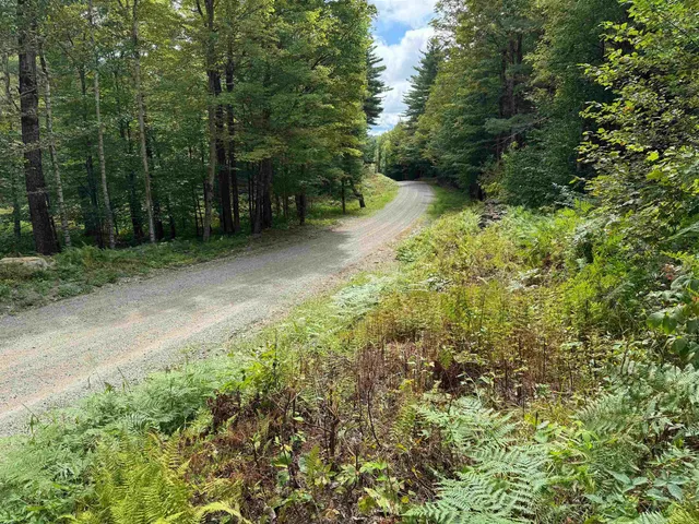 $199,000 | 0 Lake Hill Road, Unit SPRING LOT, Jacksonville, VT 05342