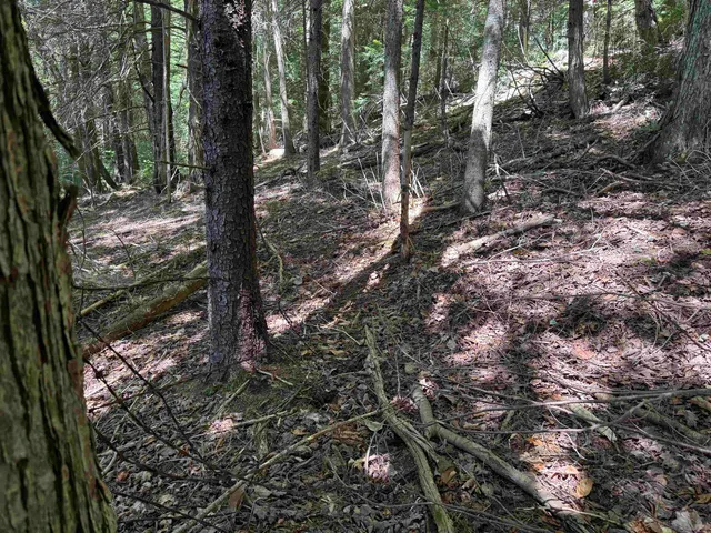 $199,000 | 0 Lake Hill Road, Unit SPRING LOT, Jacksonville, VT 05342