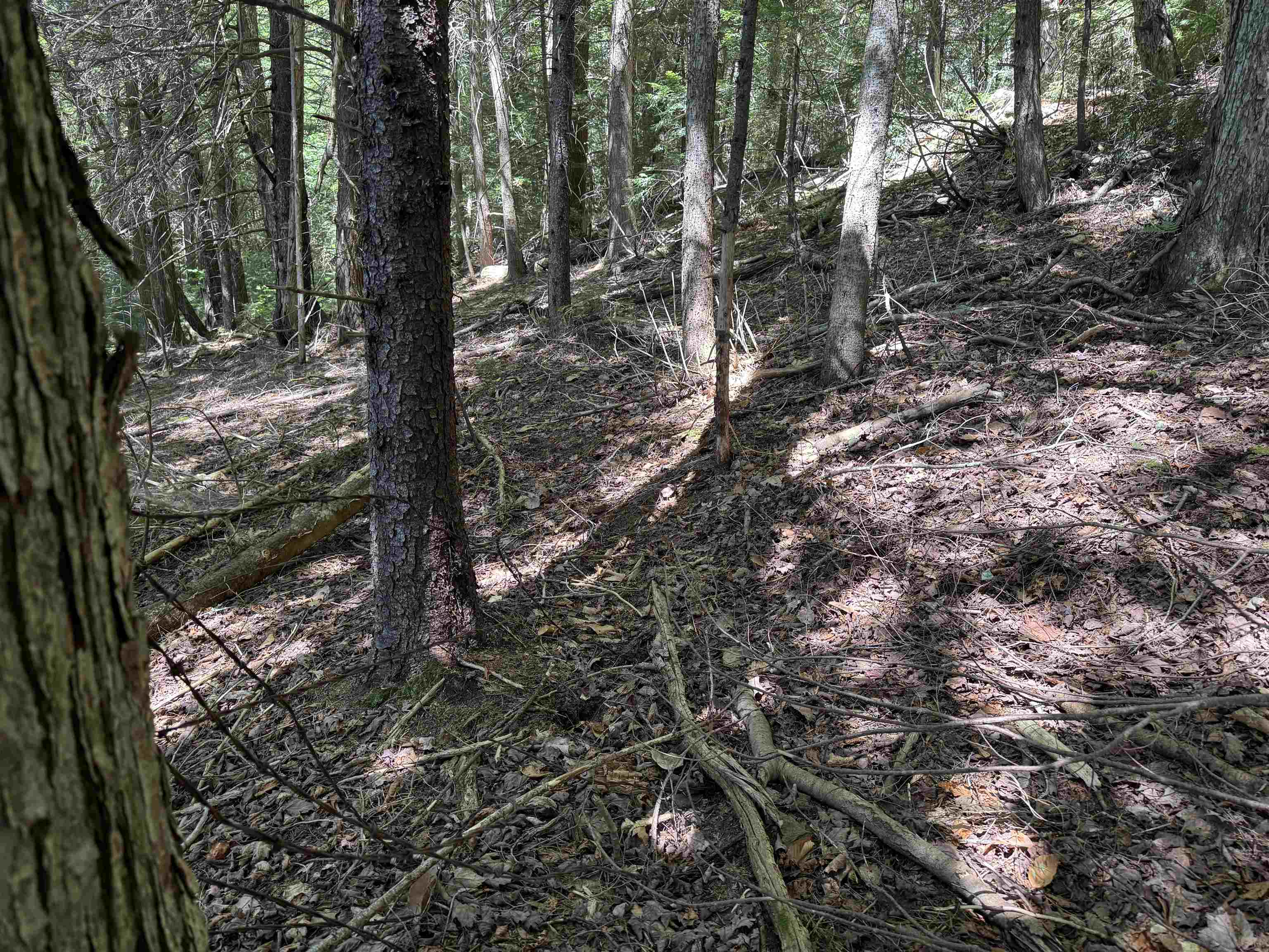 0 Lake Hill Road, Unit SPRING LOT Jacksonville, VT 05342 - Photo 19 of 22