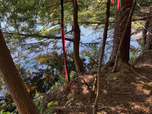 $199,000 | 0 Lake Hill Road, Unit SPRING LOT, Jacksonville, VT 05342