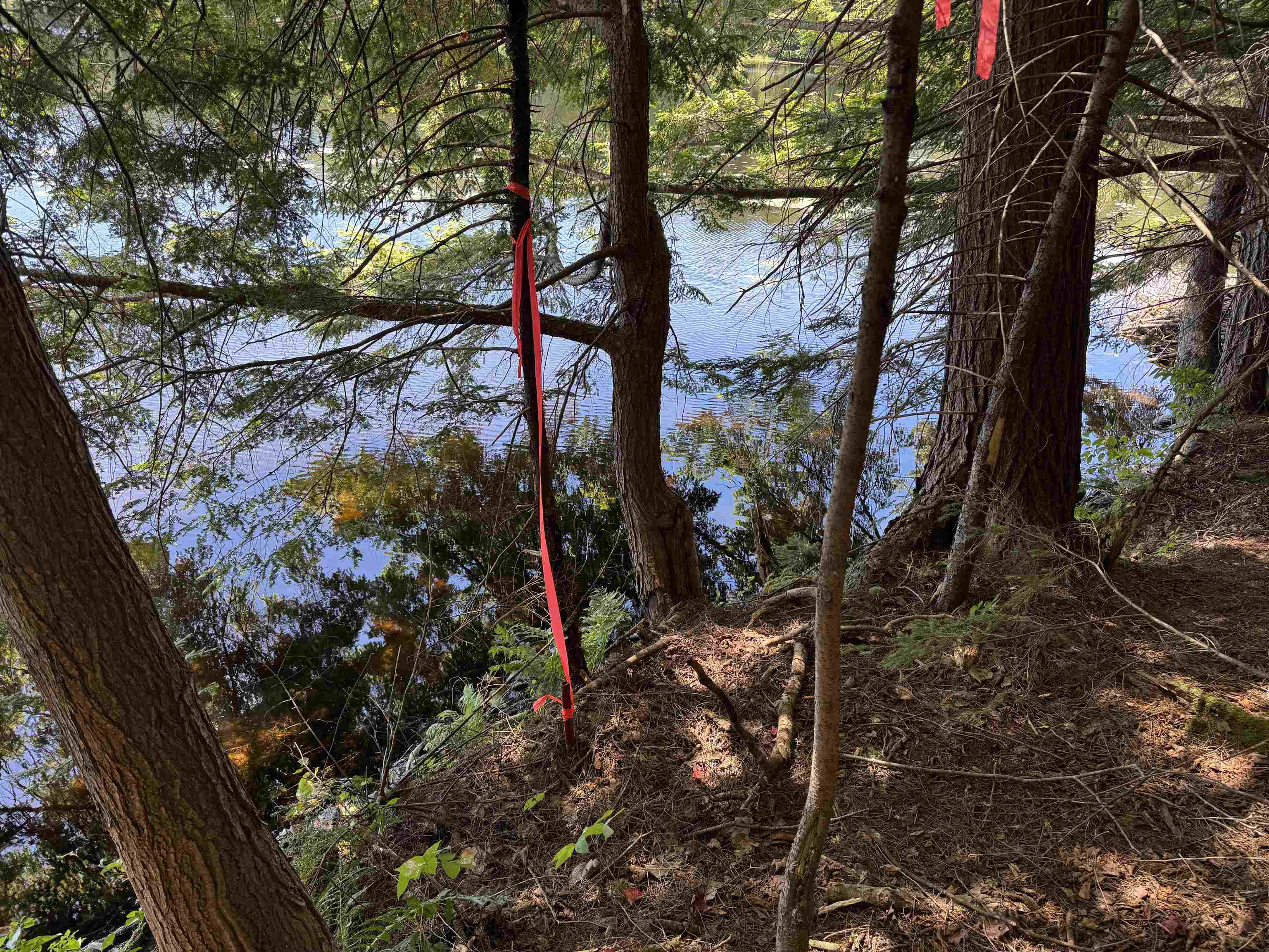 0 Lake Hill Road, Unit SPRING LOT Jacksonville, VT 05342 - Photo 20 of 22