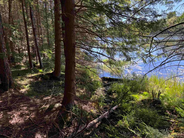 $199,000 | 0 Lake Hill Road, Unit SPRING LOT, Jacksonville, VT 05342